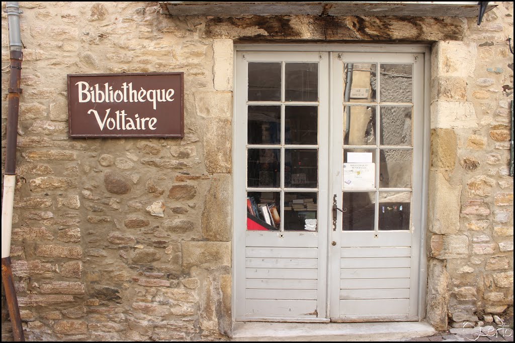 Bibliothèque Voltaire by rOberto