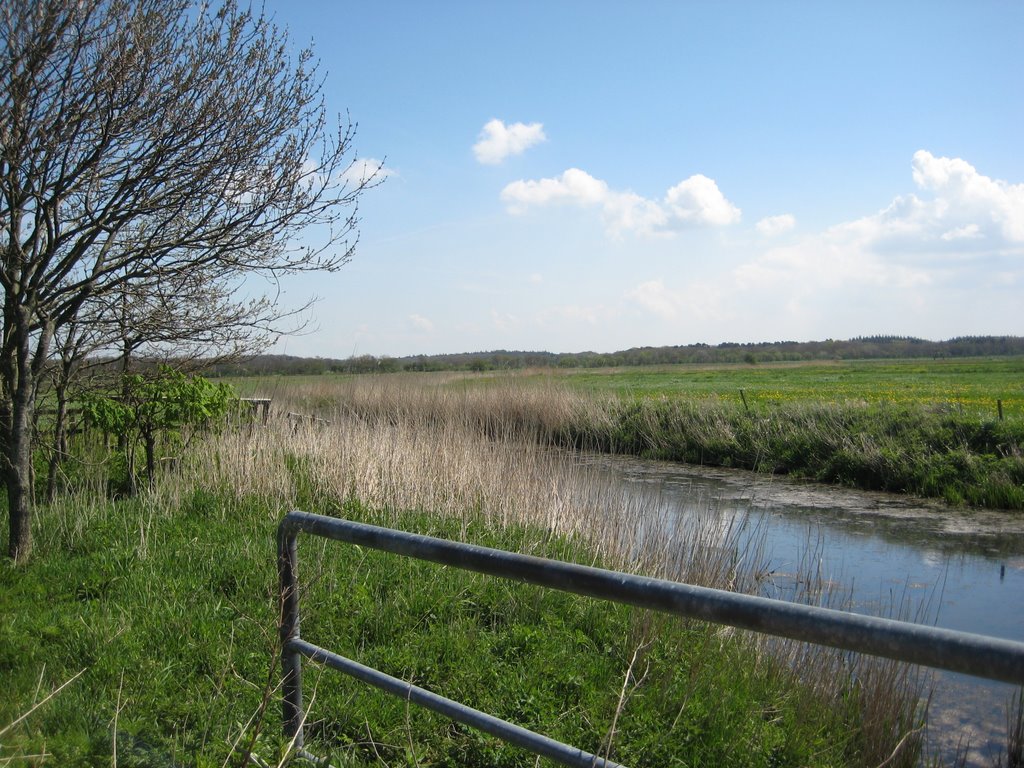 Berensch - Deichweg / Am Sielhaus des Landmarschengrabens by Robert-68