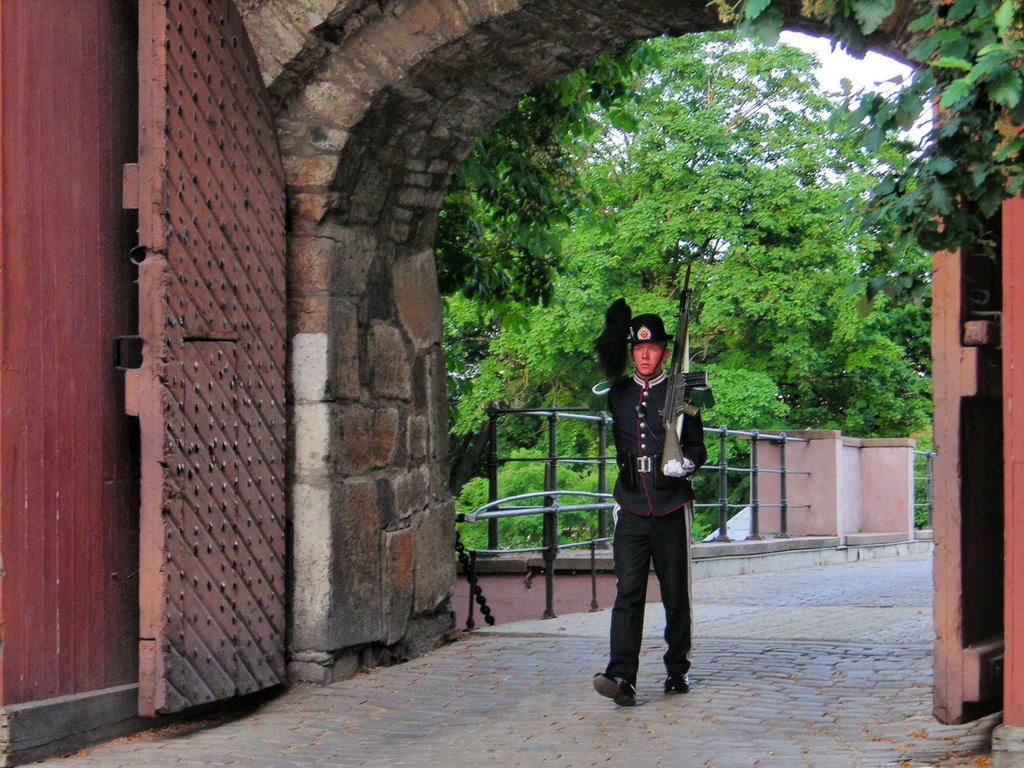 Guardia all'Akershus by Adriana.A.