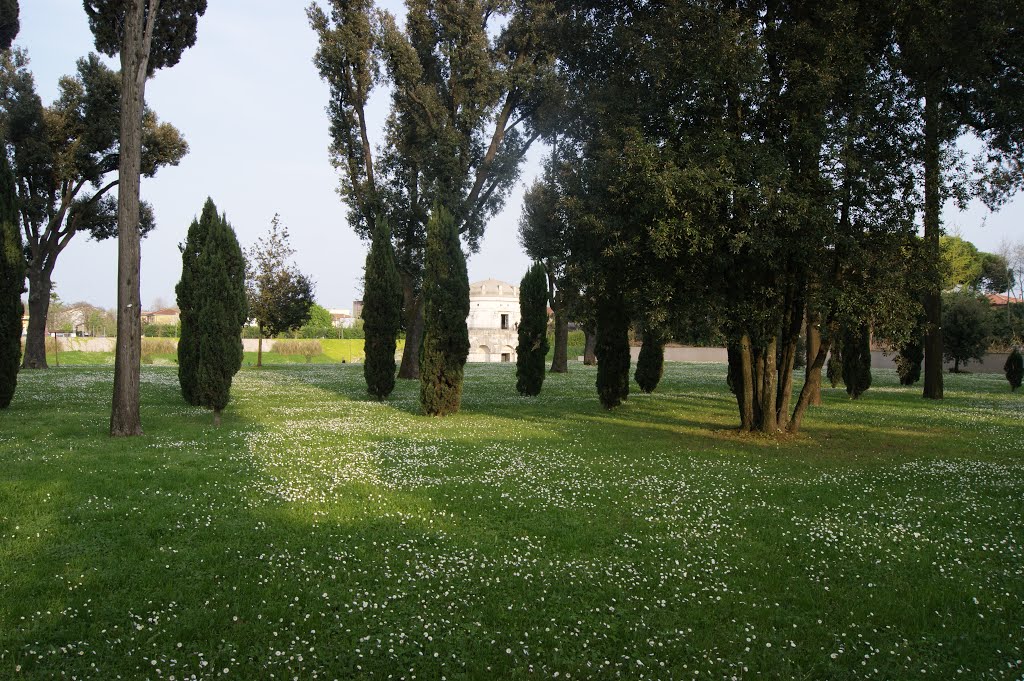 Parco teodorico.... e margherite. by capoccionetm