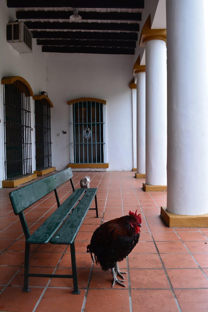 Museo histórico Cornelio Saavedra by GastónLG