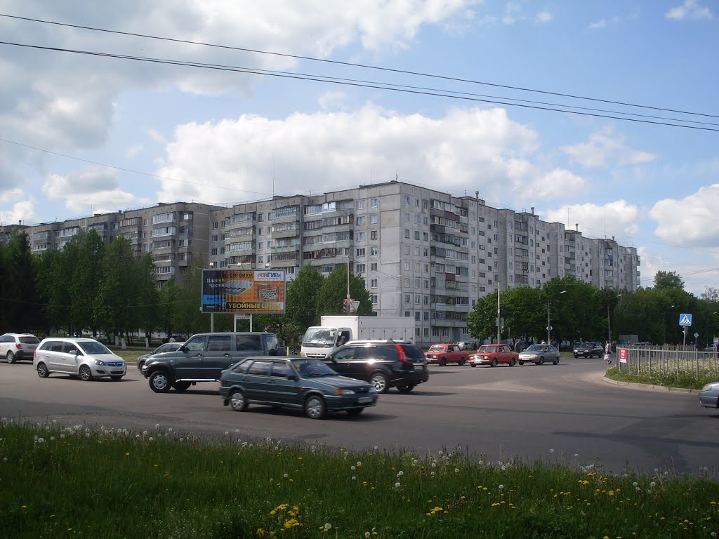 Housing estate by sergoeverestov