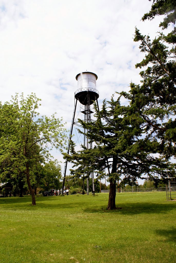 Palmyra, NE: water tower by pylodet