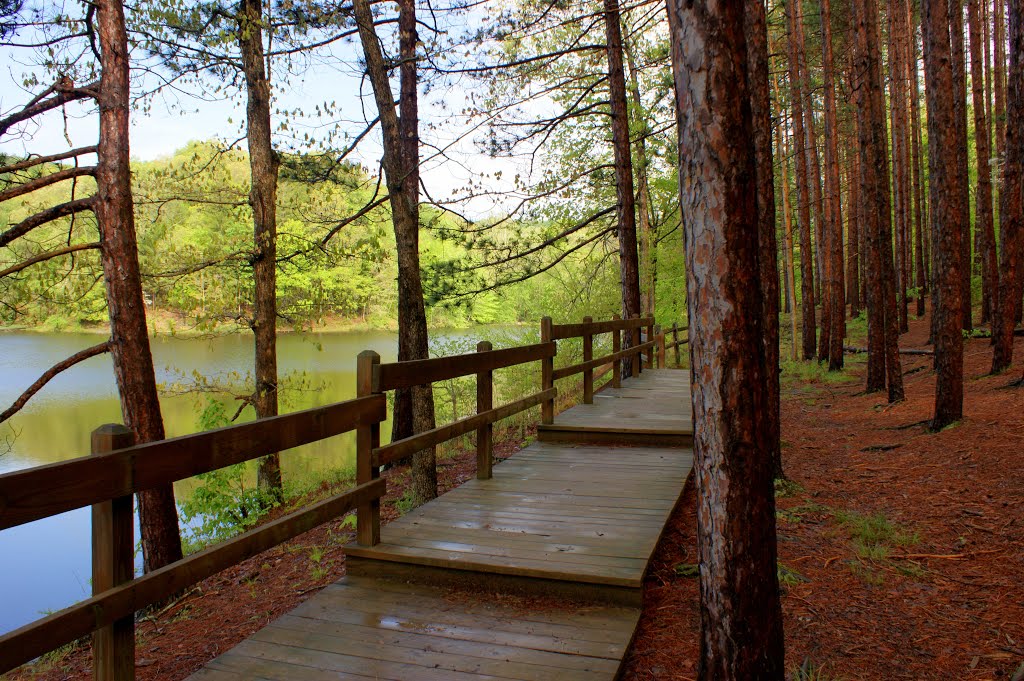 Walk along the Lake by tobarone