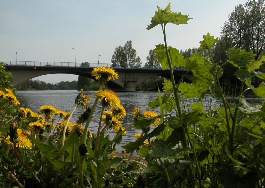 Mendener Brücke by Ruesterstaude