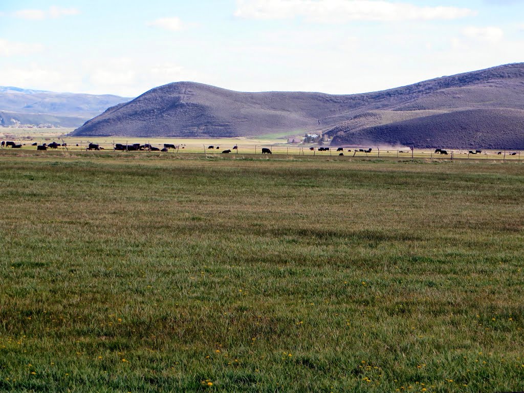 Rhoades Valley, Utah, from Democrat Alley looking NW toward Oakley by hthalljr