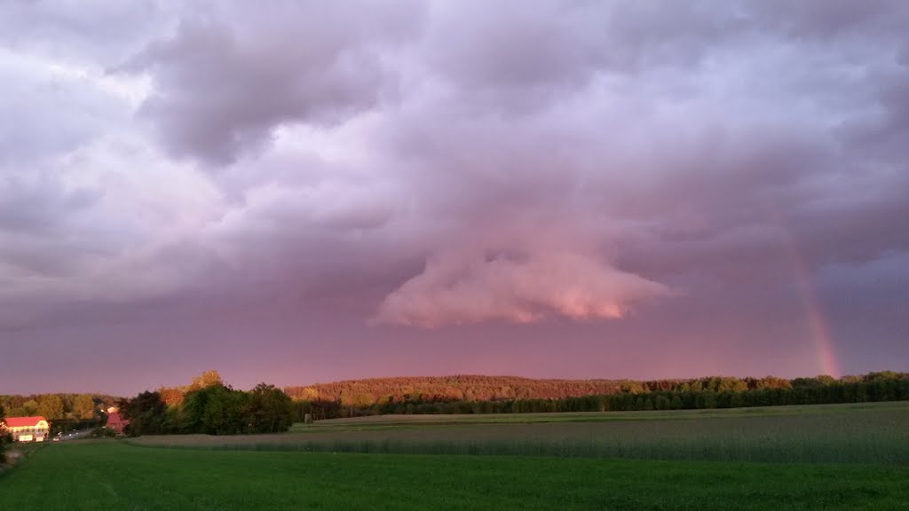 Bodzanowice, V 2014 by Wojtek Nocun