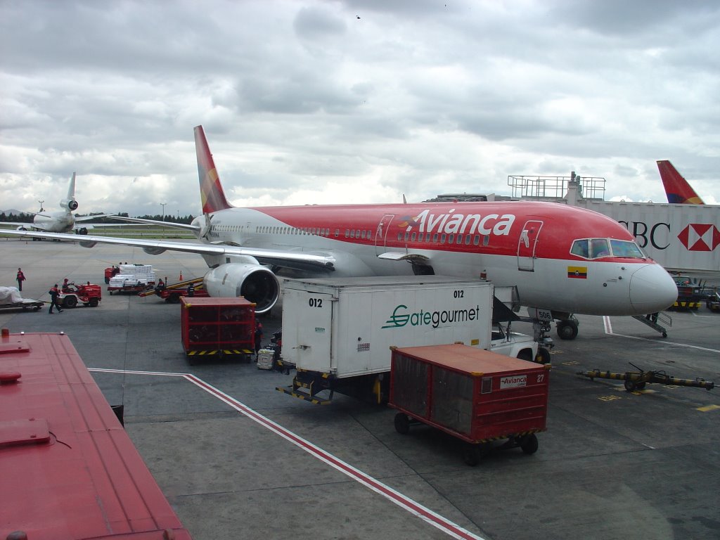 Plane in El Dorado Airport, Bogota by Bruno Menezes