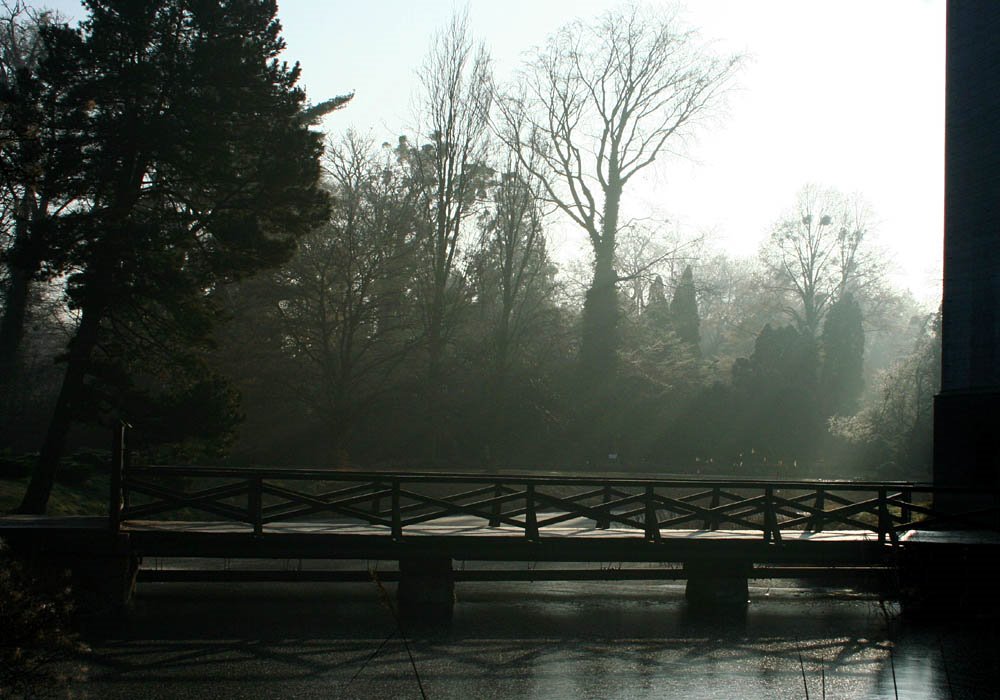 Kórnik castle bridge by bartecq