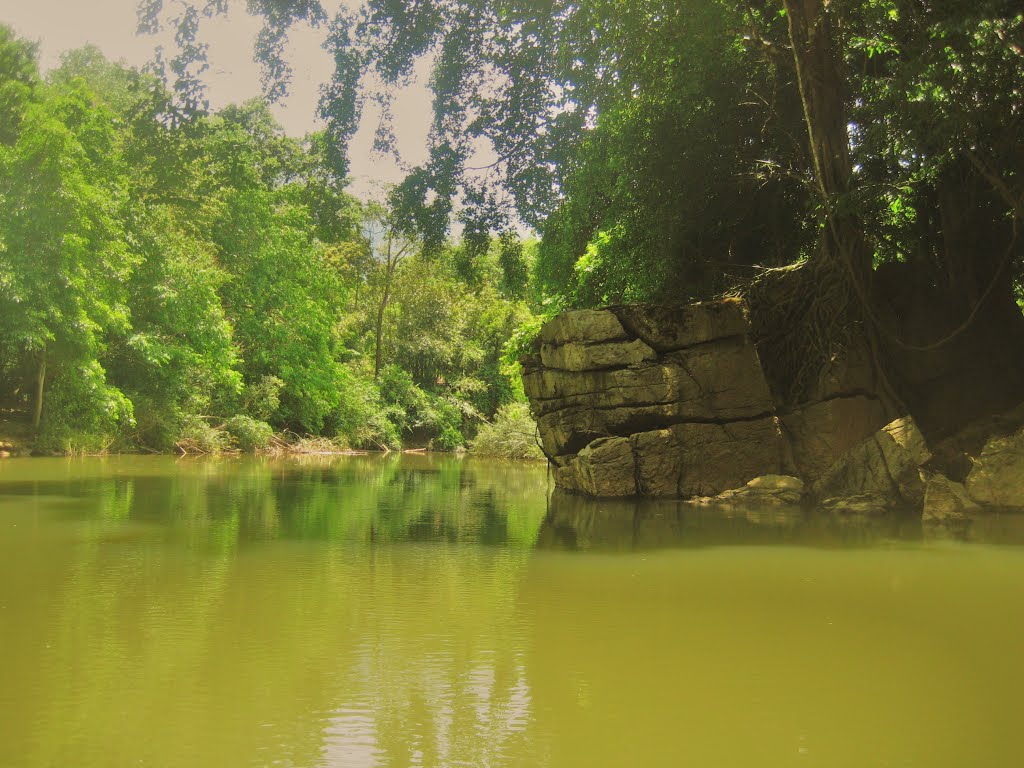 Khao Sok River by Waltraut Scholz