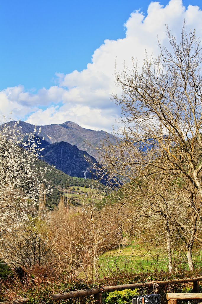 INDICIOS DE LA PRIMAVERA EN LLAVORSI by jmezh