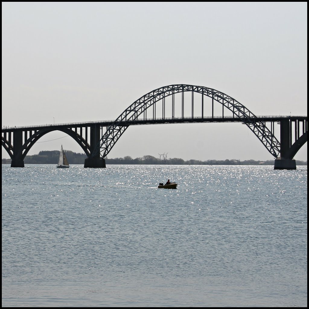 Queen Alexandrine Bridge by ԁk‒cam