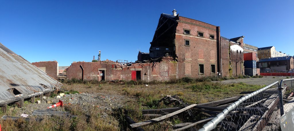 Christchurch Red Zone by Steve Busson