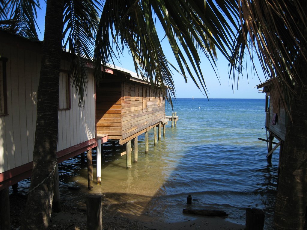 CABAÑAS EN LA ORILLA EN ROATÁN by javimoni