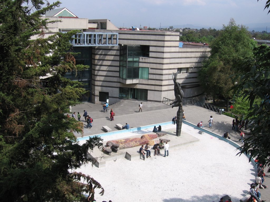 Fac Ciencias Biblioteca by Miguel Froylan