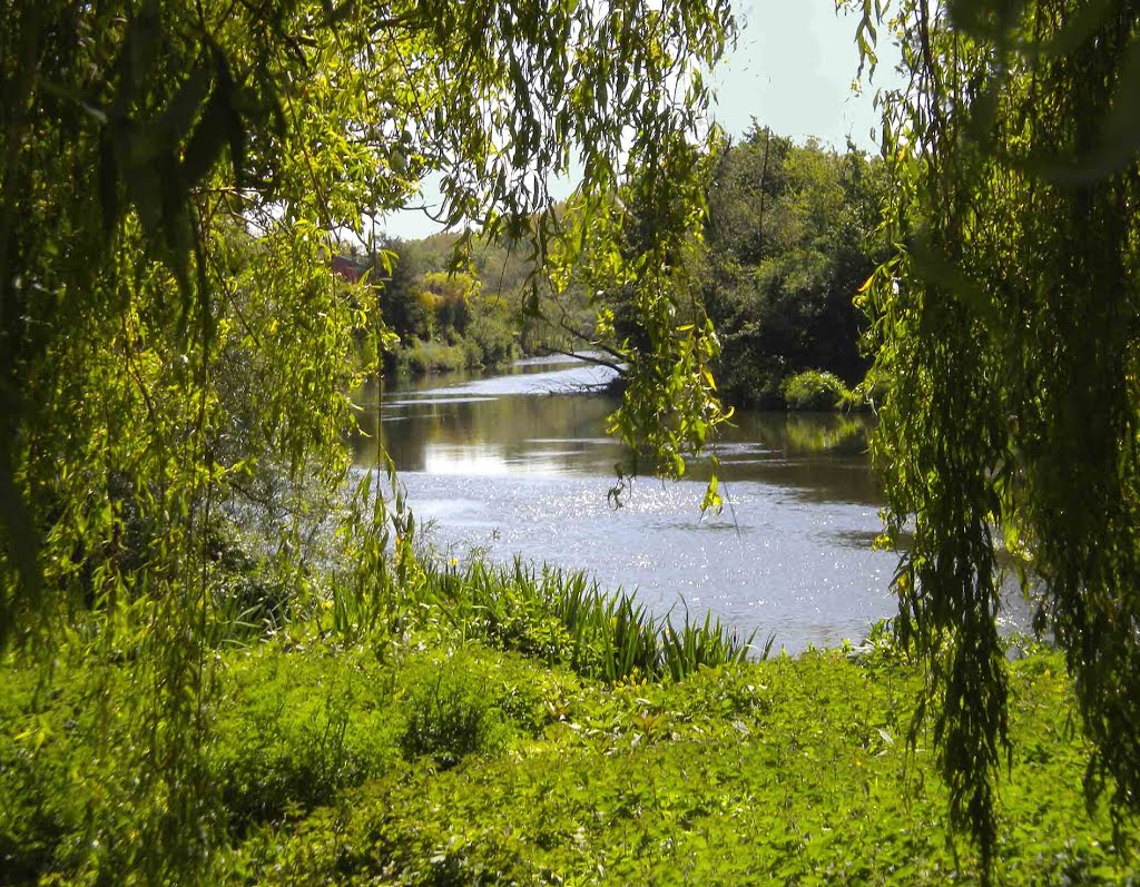 Belle Isle Park by MoMof4