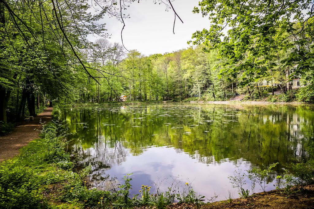 Teich im Sahnpark by hiroorih