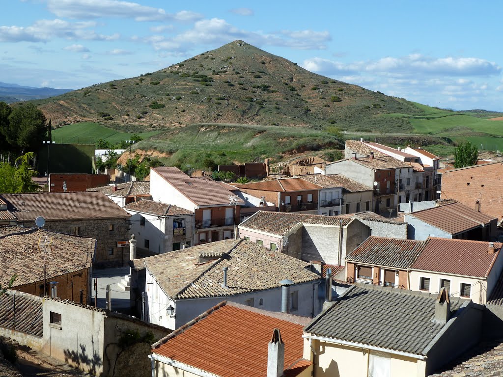 ALARILLA (Guadalajara). Campiña del Henares. 2014. 206. Cerro del Colmillo. by Carlos Sieiro del Nido