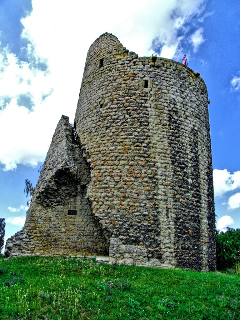 Zřícenina hradu Michalovice, Mladá Boleslav by Lukáš Hák