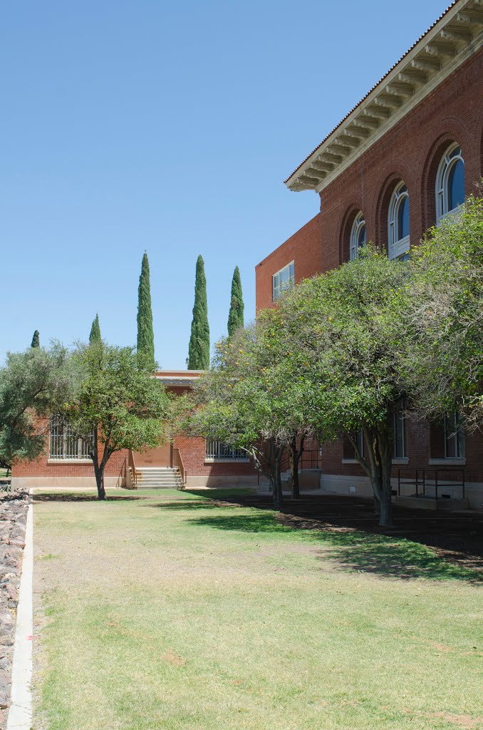 University of Arizona, Tucson, Arizona by davidpinter