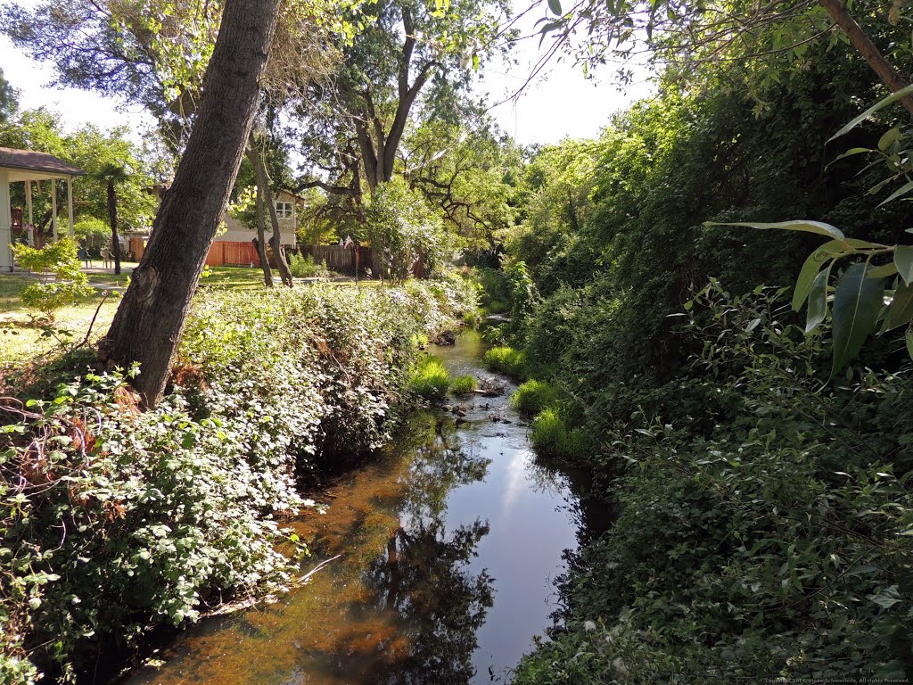 Miners Ravine Creek by Steve Schmorleitz, NationalParkLover.com