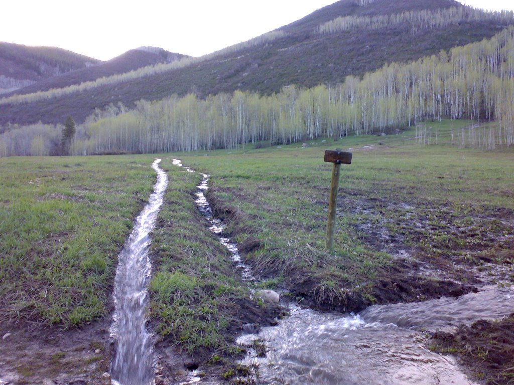 Sunnyside trail head hunter creek by willymcd