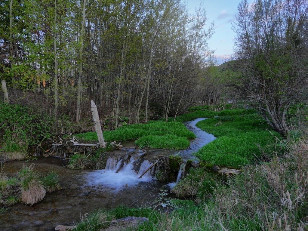 Verdant Stream by Jessica G.