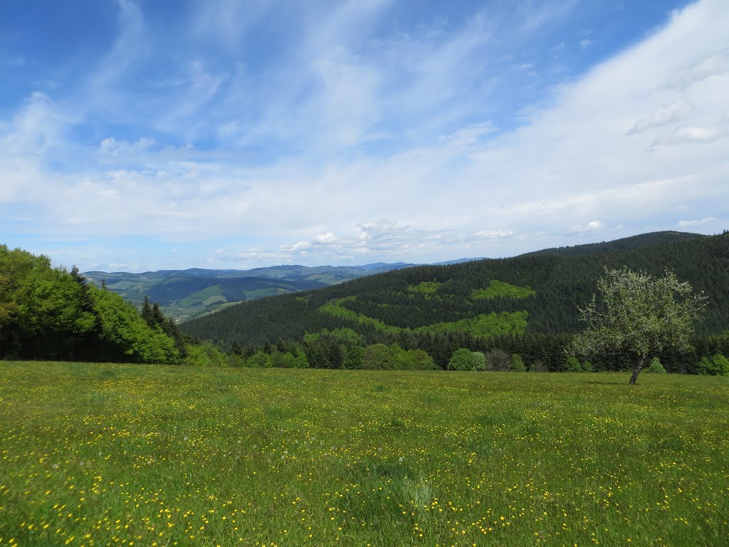 Les monts du Lyonnais, près d'Affoux by cfta