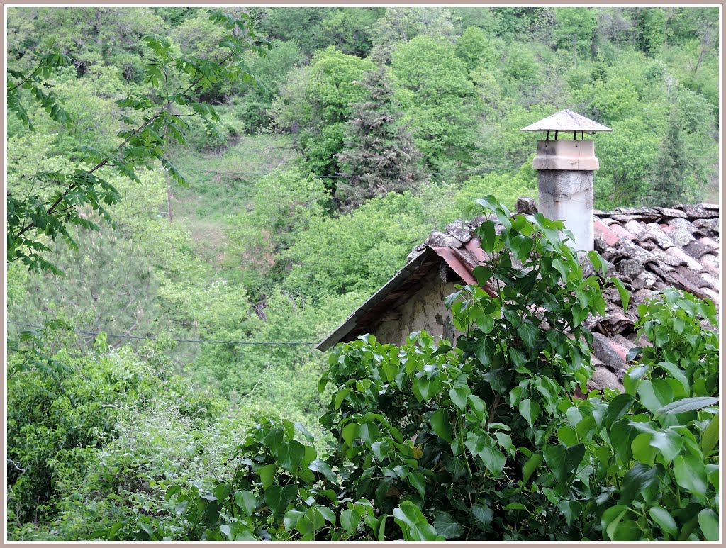 A deserted building of Solo's village ... Chelmos mnt., Achaia by ch-georg