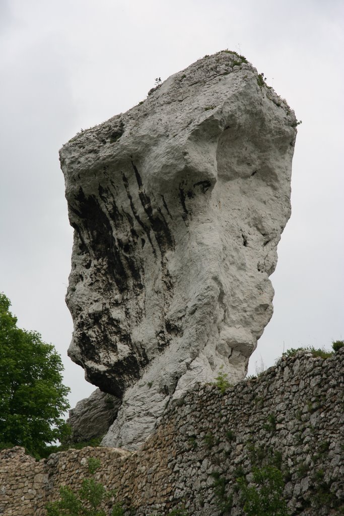 Podzamcze - ostaniec by venev