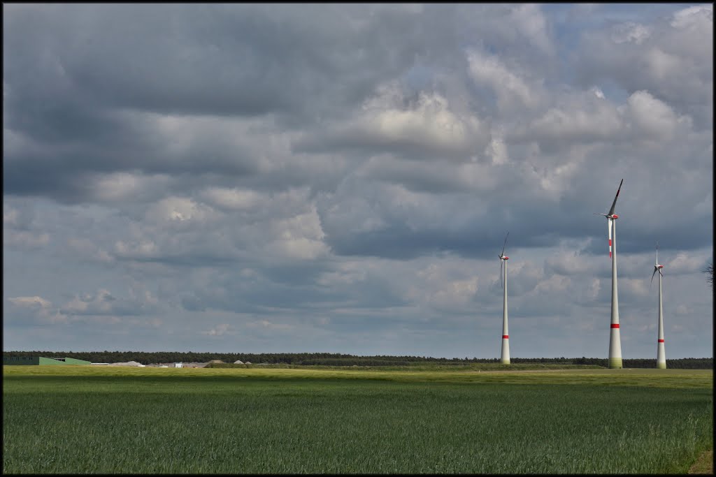 Burg bei Magdeburg, Ortsteil Reesen. Fotografiert in Richtung Deponie vom Friedhof des Ortes aus. by Der Burger JL