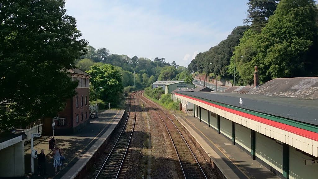 Torre Station looking up towards Newton Abbott by joydivision7780