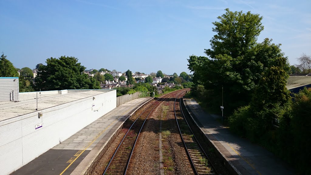 Torre Station looking down line to Paignton by joydivision7780