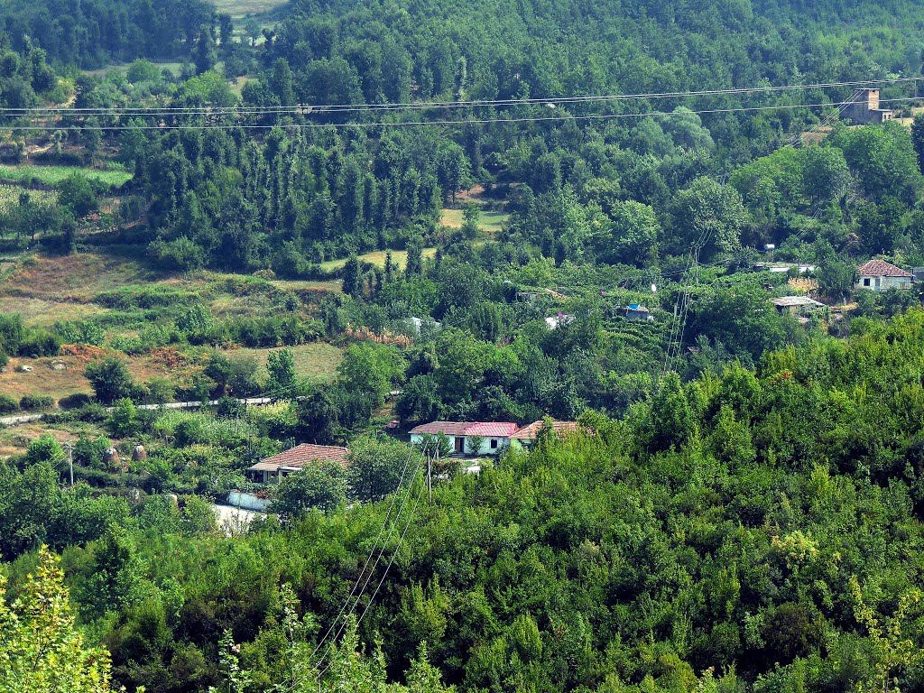 Shqipëria: Mushqetë... by Sofjan Kotorri