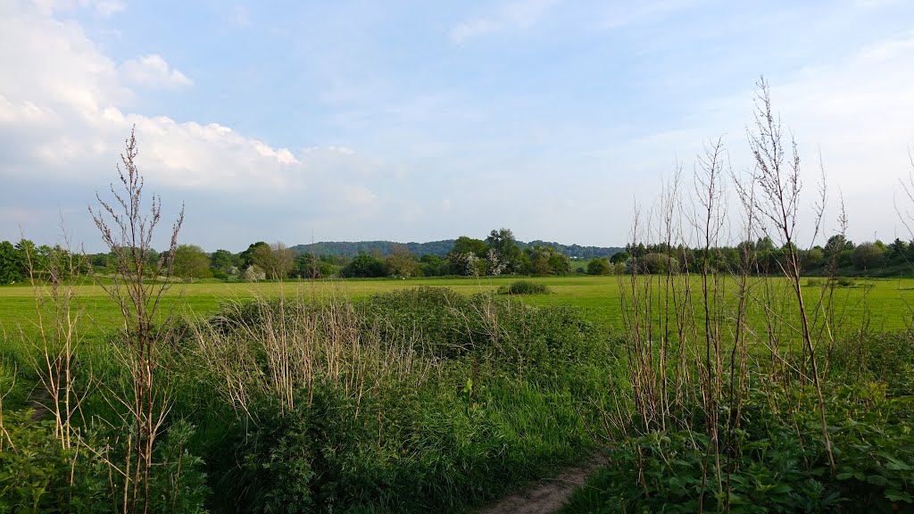 Recreation Ground Wilmslow, Alderley Edge in the background by Dennis Neill