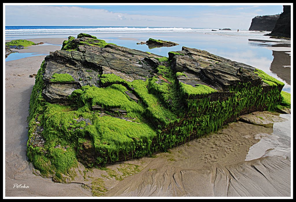 Detalle de roca en la playa de Las Catedrales by Potoka