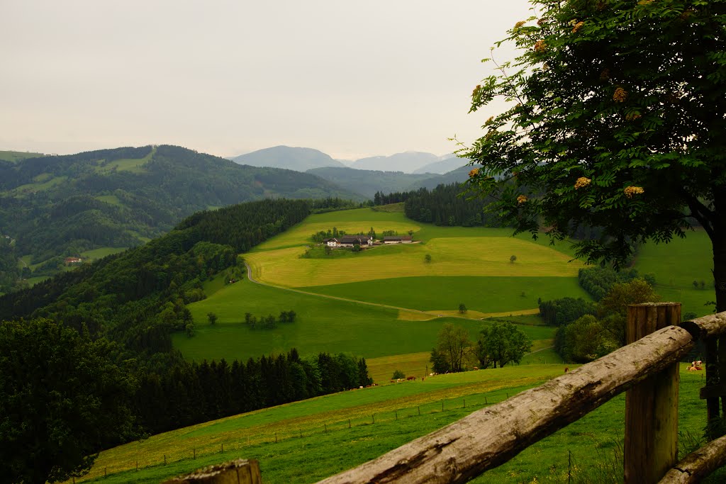 Ausblick vom Hochkogel Almhaus by pallka