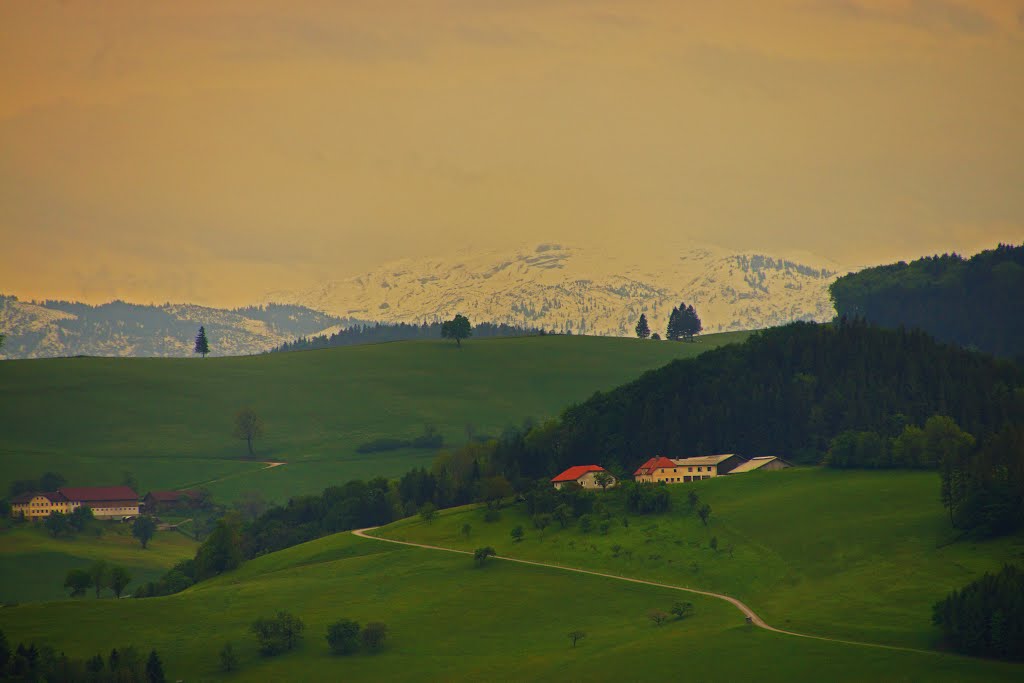 Ausblick vom Hochkogel Almhaus by pallka