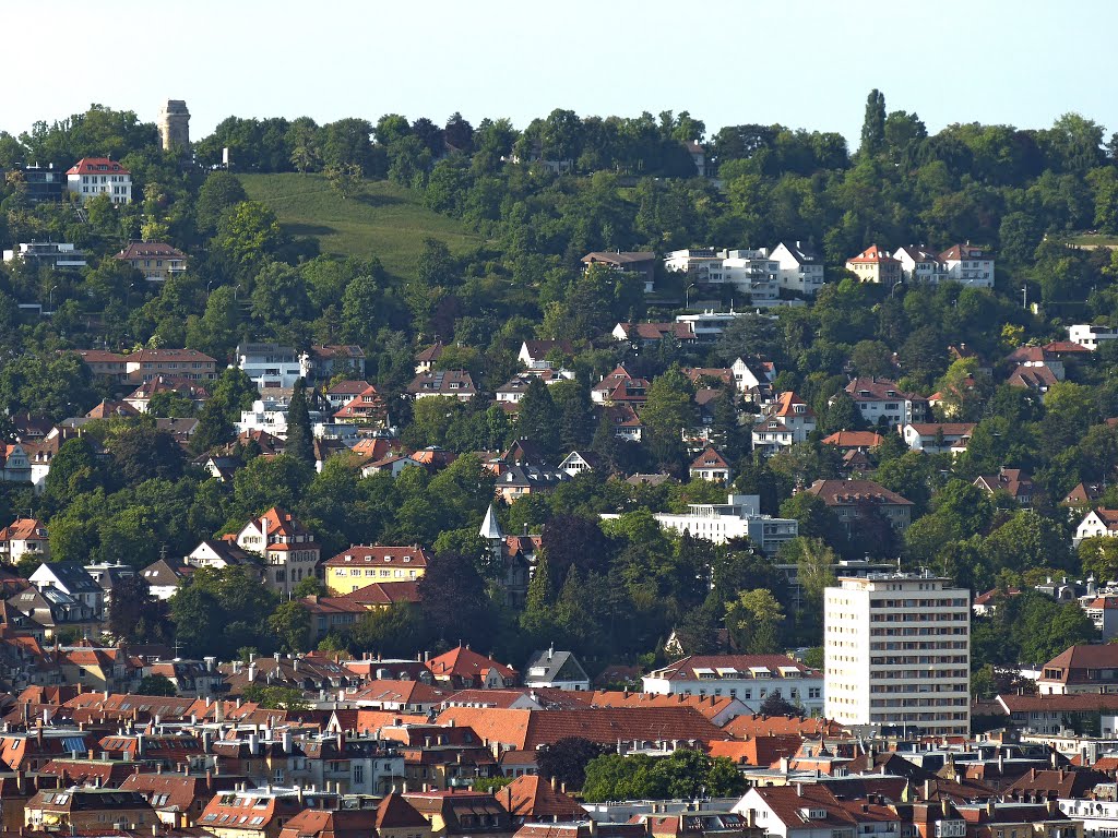 Bismarkturm by © Rapi (  )