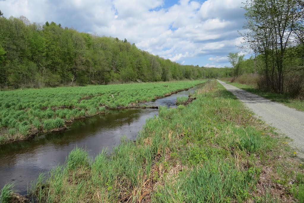 This stretch of the Cataraqui trail follows a marsh along the foot of an ancient fault line in Canadian shield rock. The former Canadian Northern Railway just dredged road base producing the needed drainage ditch in 1912. by Steve Manders