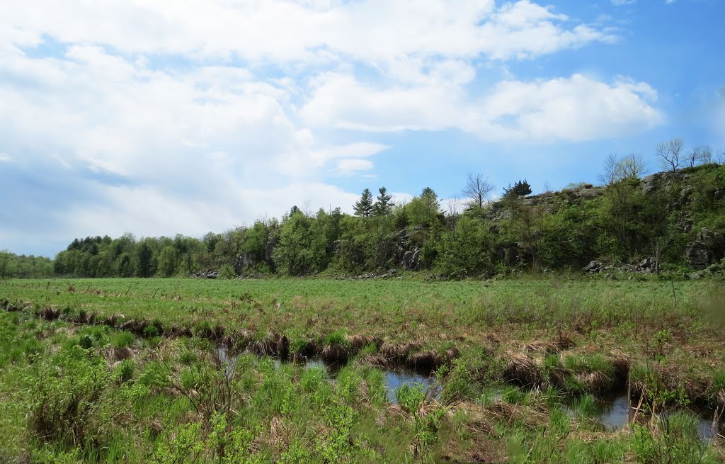 A long ancient fault line in the Canadian shield rock made this hill and marsh. This made it easy to build the Canadian Northern Railway (CNoR) in 1912 by simply dredging the mud for the railway base. No tree cutting, rock blasting and so on. The fault line goes from near Perth Road Village to Indian Lake near Chaffey's Locks in a NE direction. Any savings here was quickly lost just to the north of here. by Steve Manders