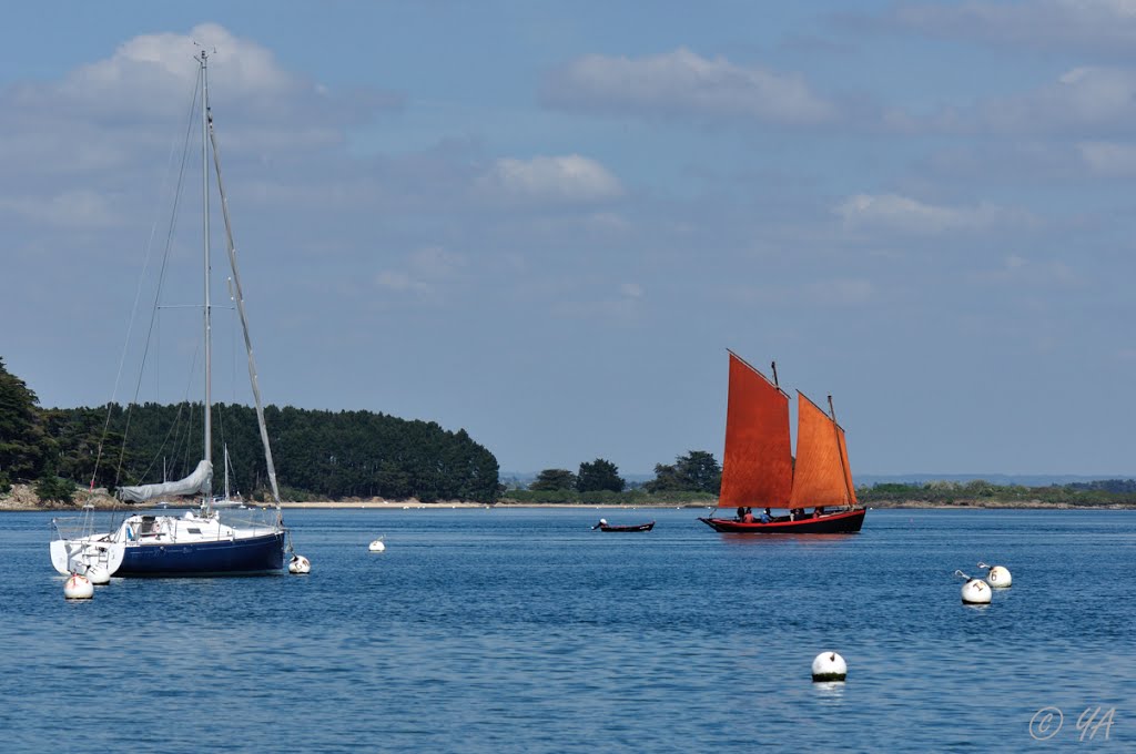 Arzon : Sinagot dans le golf du morbihan. by Y. A, Villyssois.