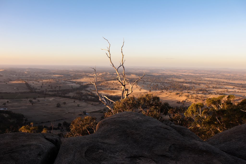 Mt Alexander view by jgilbo