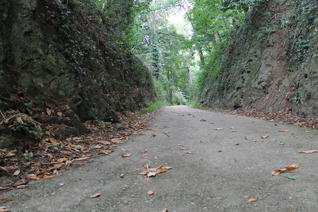 Parc de Rohannec'h by Kev22