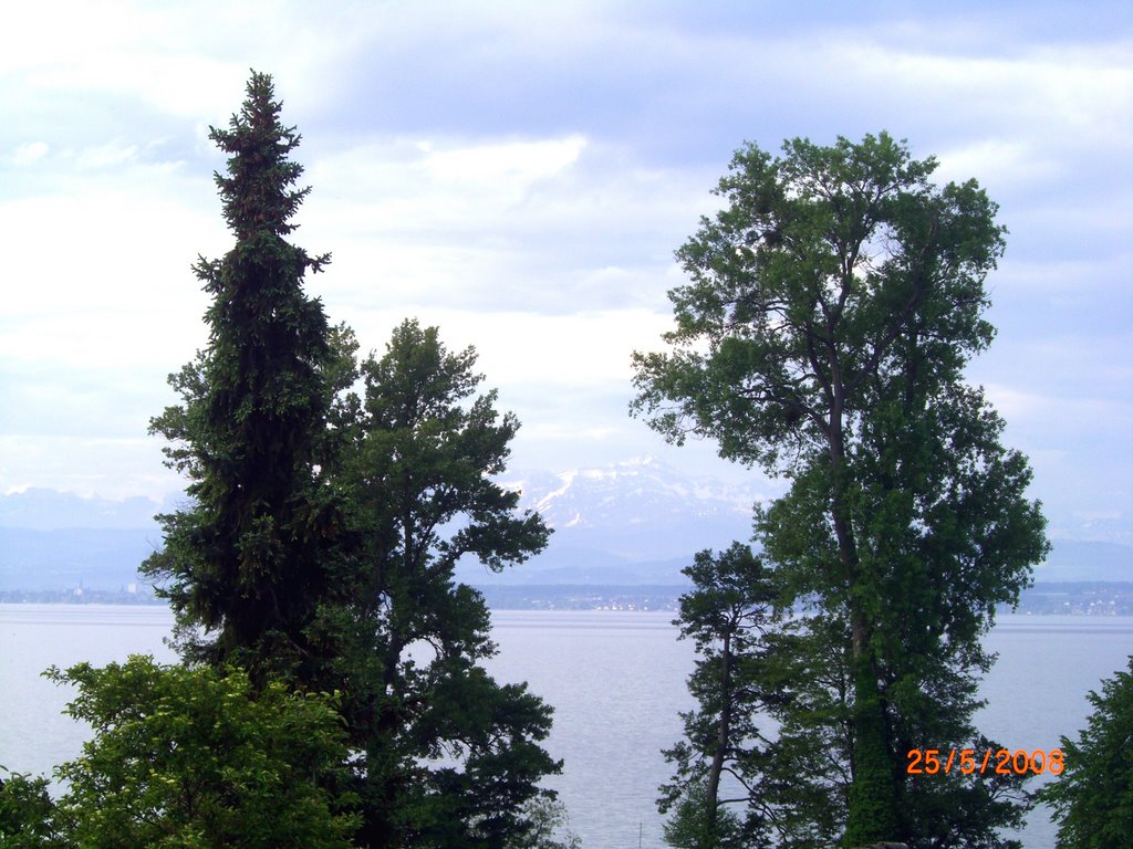 Blick aus der Wohnung "Lindau" Pension Röhrenbach by graichen