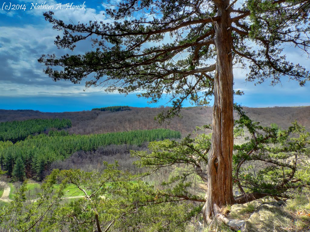 Yellow River State Forest Overlook by Nathan Houck