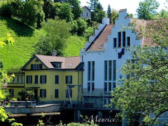 Regard photographique by Maurice Simonetto