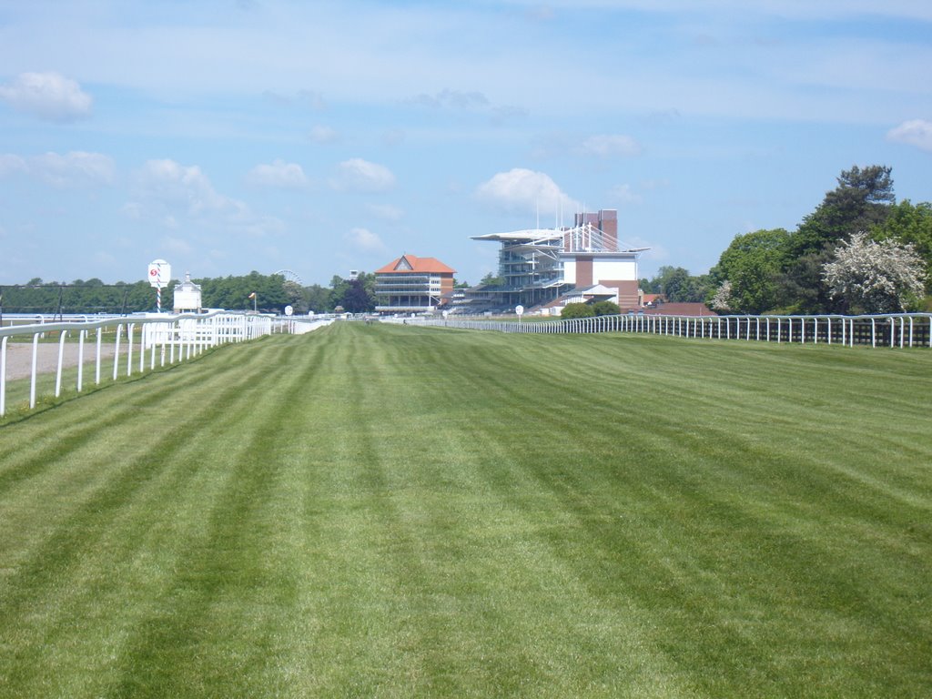 York Racecourse by jeffrey-kellett