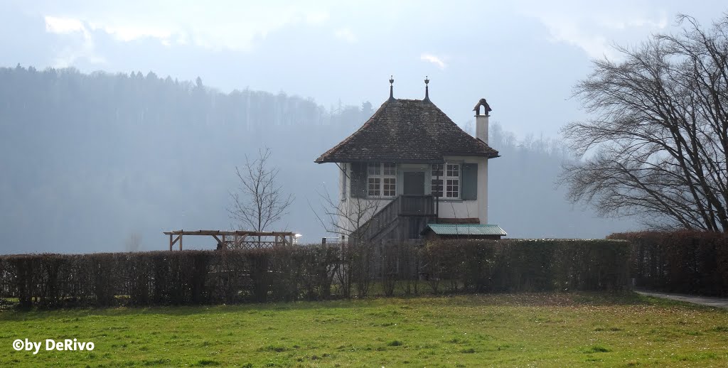 Rebhäuschen am Windeggstieg Buchthalen bei Schaffhausen by TheRivo