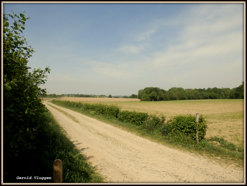 View op Geleen DSM..vanaf het Pieterspad...2014 by Gerold Vluggen